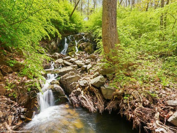  166 liberty corner rd, far hills boro, nj 07931-3501 