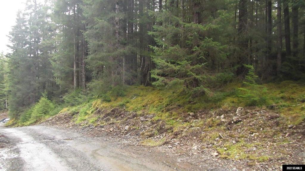  nhn choker setters cir, thorne bay, ak 99919 