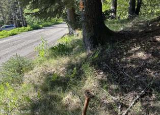 301 anderson way, seldovia, ak 99663  alaska farms for sale