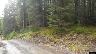 nhn choker setters cir, thorne bay, ak 99919  alaska farms for sale